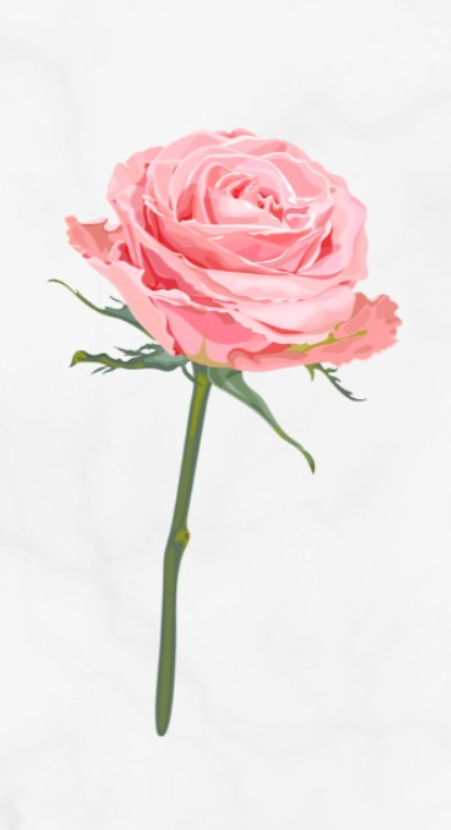 2 Rožnata vrtnica Oseba, ki izbere rožnato vrtnico, se s stresom sooča nežno in skrbno do sebe. Ko se znajdete …