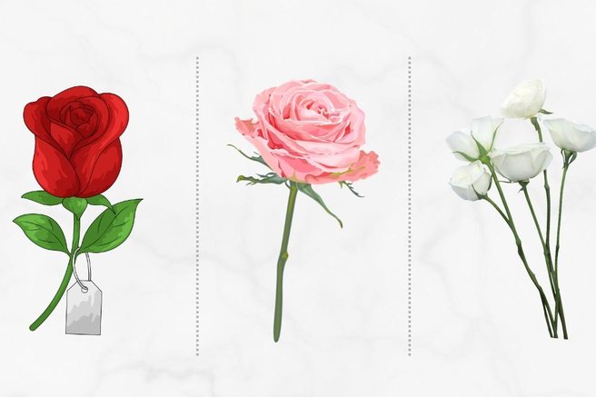 Katero rožo ste izbrali? Test, ki pokaže, kako se soočate s stresom