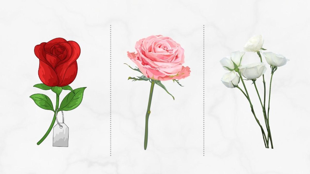 Pozorno si oglejte zgornje tri rože in izberite tisto, ki vam je najbolj všeč. Ne razmišljajte preveč in zaupajte svoji …