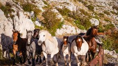 
                                                         Zavežite pohodne čevlje in spakirajte kopalke: to je popolna destinacija, kjer lahko hkrati uživate v gorah in morju