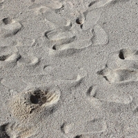 stopinje amerika zgodovina clovestvo odkritje arheologija preteklost