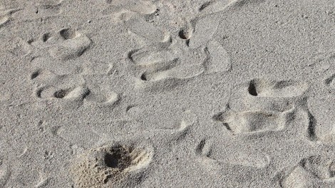 stopinje amerika zgodovina clovestvo odkritje arheologija preteklost