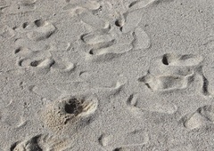 Arheologi v blatu naleteli na stopinje, stare kar 23.000 let: po analizi obnemeli, to spremeni vse, kar smo mislili, da vemo