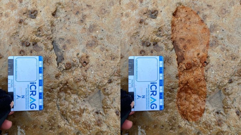 plaza aberdeen skotska pes sprehod odtis stopinja arheologija zgodovina clovestvo preteklost