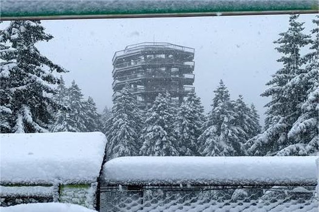 Zimska pravljica na vzhodu Slovenije: tukaj je zapadlo največ snega