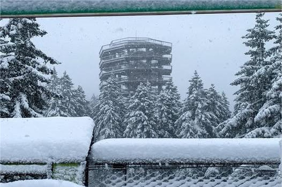 Zimska pravljica na vzhodu Slovenije: tukaj je zapadlo največ snega (foto: Facebook/Pot med krošnjami Pohorje)