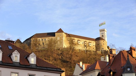 sonce. zima, februar