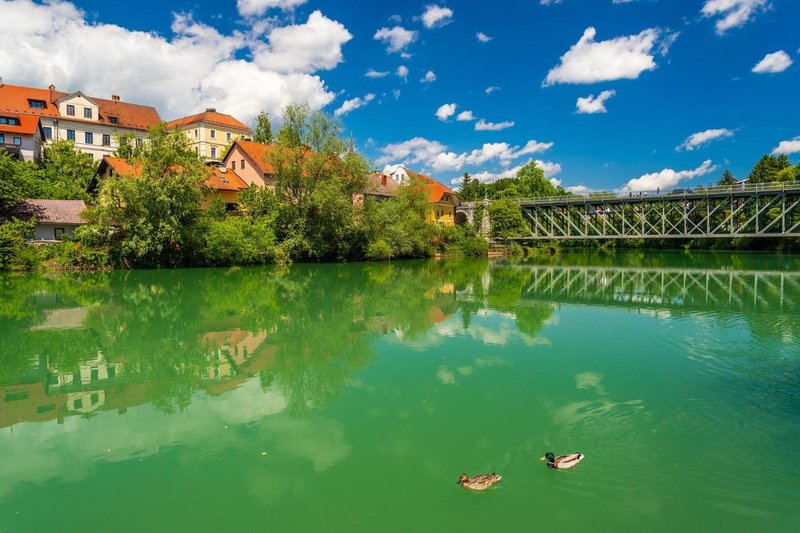Novo Mesto reka Krka plavalci