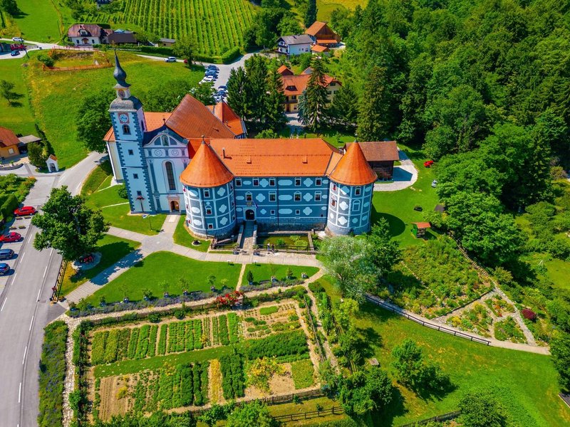 Olimje vasica Slovenija