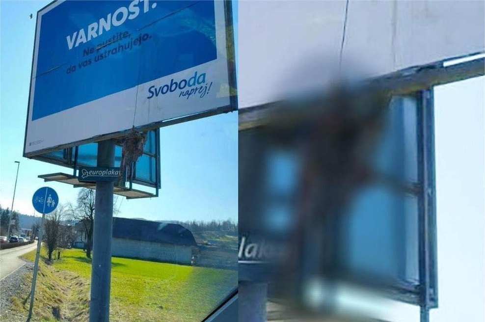 Nezaslišano dejanje na Vrhniki: na predvolilni plakat Svobode obesili živalski kadaver (foto: Facebook/Svoboda)