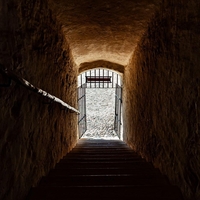 skrivna komora zgodovina nemcija arheologija roparji najdba clovestvo  odkritje rop