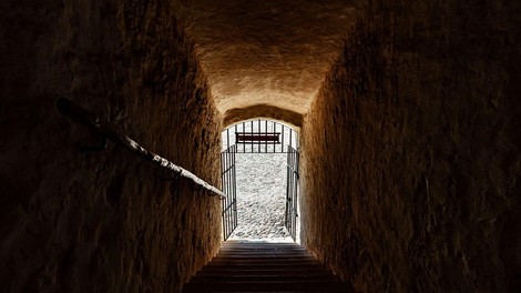 skrivna komora zgodovina nemcija arheologija roparji najdba clovestvo  odkritje rop