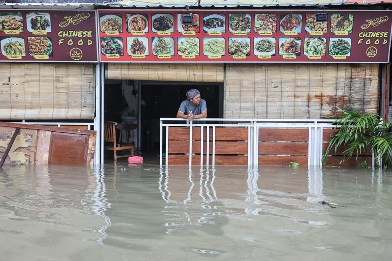 Grozljiv prizor na priljubljeni turistični destinaciji: sredi poplavljenih ulic plavala ogromna bitja (VIDEO)