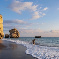 ciper nasvet previdnost ministrstvo vojna odsvetovano tezave leti nemirno slovenija problem