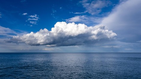 morje tezave zakisanost morski psi opozorilo svarilo jadransko morje zivali