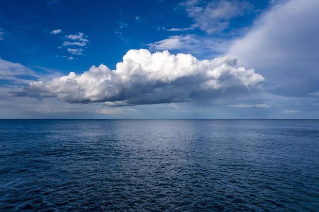 morje tezave zakisanost morski psi opozorilo svarilo jadransko morje zivali