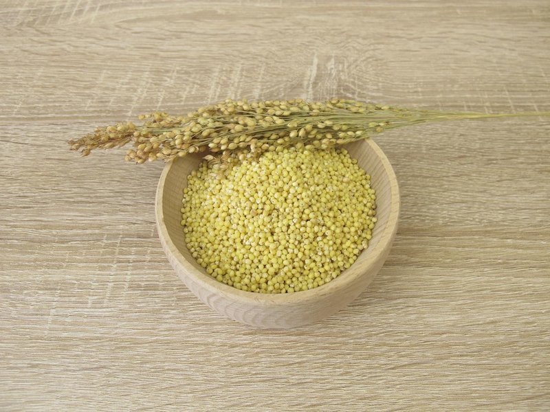 proso hrana recept zdravje nasvet kulinarika vitamini kvaliteta prehrana kuhanje