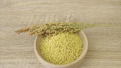 proso hrana recept zdravje nasvet kulinarika vitamini kvaliteta prehrana kuhanje