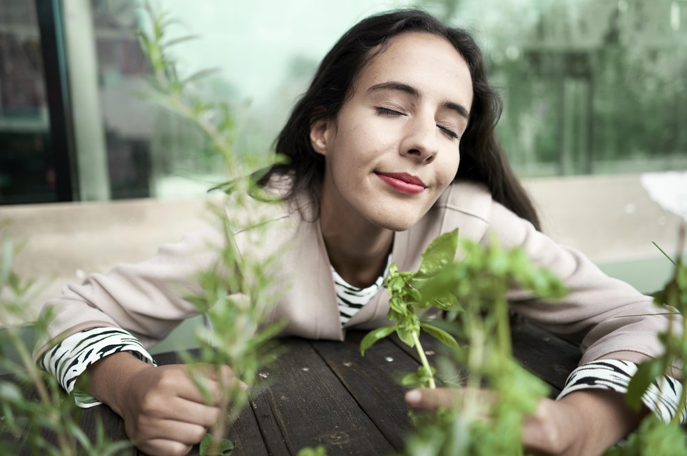 Čudežna začimba, ki ščiti vaše srce in ožilje: strokovnjaki priporočajo redno uporabo (foto: Profimedia)
