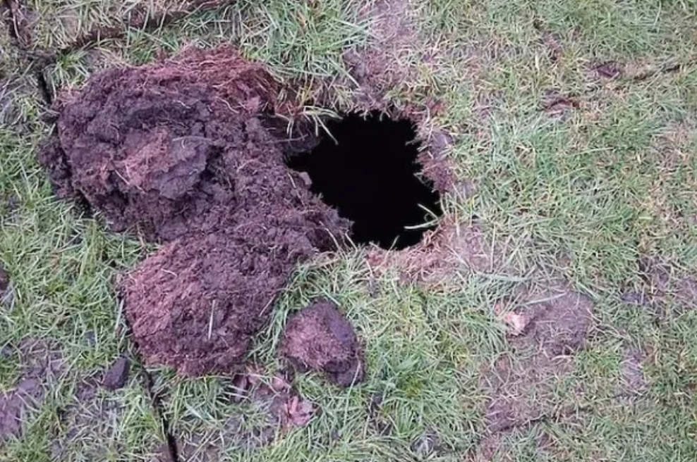 Igrali golf in pri luknji št. 13 obstali kot vkopani: nenadoma se je odprla zemlja, kar so našli v podzemni kleti, šokiralo vse (foto: Davyhulme Park Golf Club)