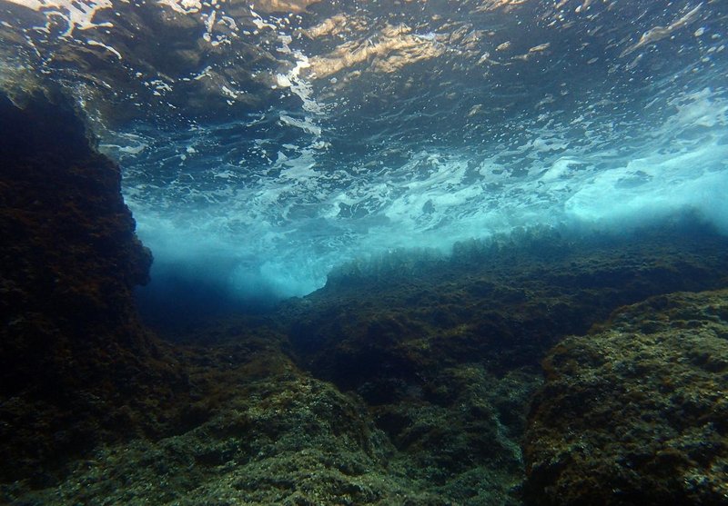hvar jadran otok morje riba velika plamenka strup nevarnost ribici invazija hrvaska katastrofa