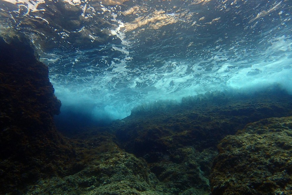 hvar jadran otok morje riba velika plamenka strup nevarnost ribici invazija hrvaska katastrofa
