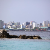 Maldivi