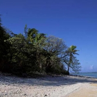 Nikumaroro amelia skrivnost izginotje raki kosti prasici smrt clovestvo zgodovina