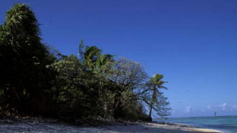 Nikumaroro amelia skrivnost izginotje raki kosti prasici smrt clovestvo zgodovina