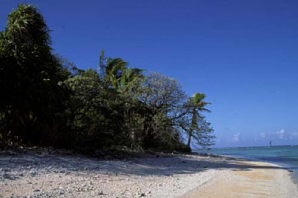 Ena od plaž na koralnem grebenu Nikumaroro. (foto: Profimedia)