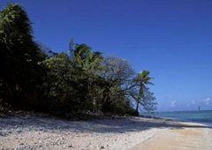 Kam je izginila Amelia?! Raziskovalci rakom vrgli mrtvega prašiča, preverjanje ene od teorij pa jih je presunilo do kosti