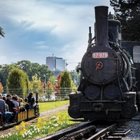 Utrip pomladi: zapeljite se z vrtno železnico v Železniškem muzeju