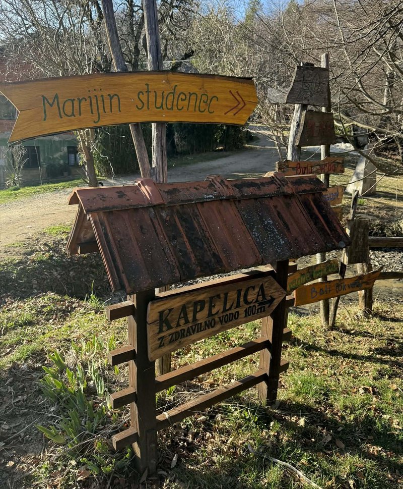 gozd Zaplaze Marijin studenec Dolenjska