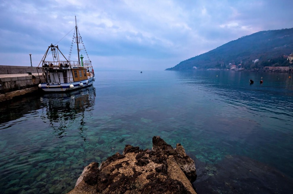 Ribič Đani ujel ribo, prijel za nož, jo odprl in obnemel: presunljiva najdba v notranjosti živali šokirala vse na Jadranu (foto: Profimedia)