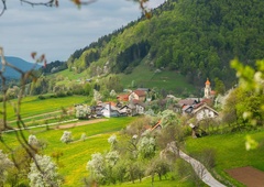 Zdravilna slovenska dolina z novim doživetjem: iz oaze ugodja se bomo domov vračali drugačni