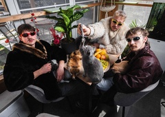 Skupina DEMM se požvižga na pravila: brez kalkulacij, brez prilagajanja, le čista energija