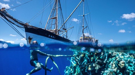 morje pacifik ocean kalifornija havaji smeti onesnazevanje plastika sramota narava okolje