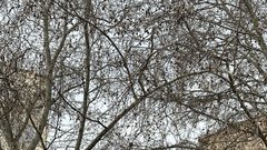 Pogled na katedralo La Major iz predela Le Panier.