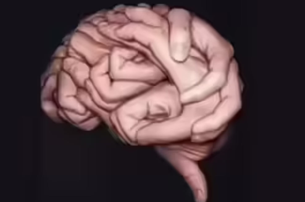 Kaj najprej vidite na sliki? Optična iluzija, ki razkrije, ali imate močno intuicijo (foto: TikTok/miayilin)