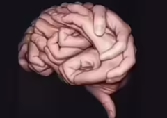 Kaj najprej vidite na sliki? Optična iluzija, ki razkrije, ali imate močno intuicijo