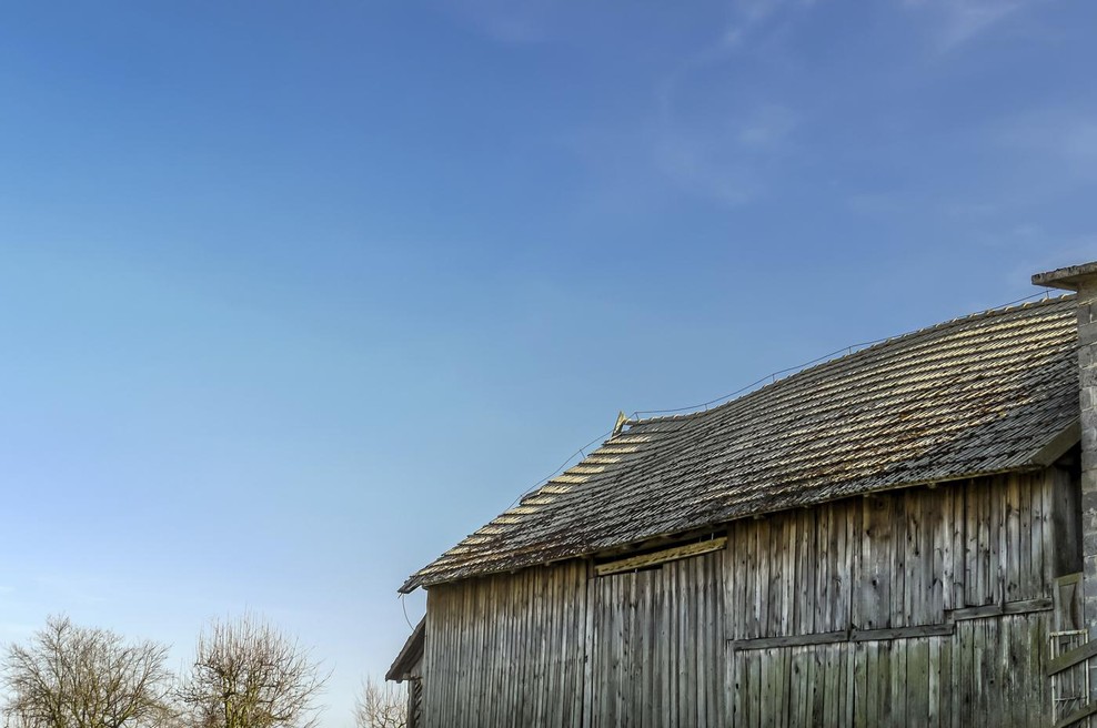 Fotografija je simbolična. (foto: Profimedia)