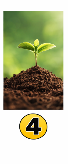 4 Zemlja Če ste izbrali zemljo, ste verjetno stabilna, zanesljiva in zelo praktična oseba. Radi imate red, strukturo in občutek …