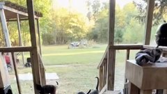 Potepuške mačke zapuščena hiša nepremičnina