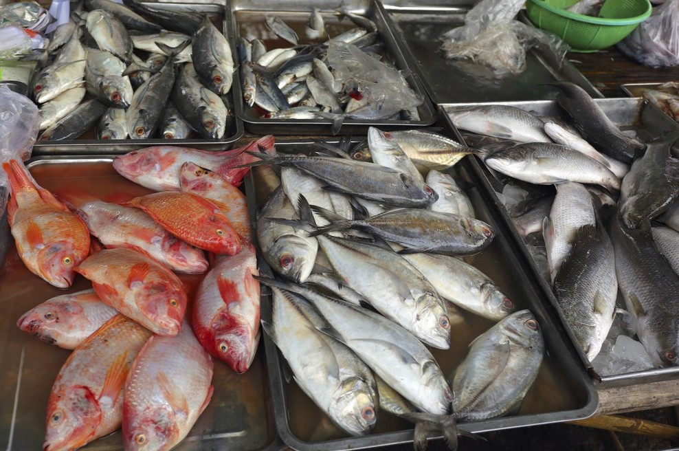 To je ena najslabših izbir med ribami: škodi srcu in zvišuje holesterol, a mnogi jo še vedno kupujejo (foto: Profimedia)