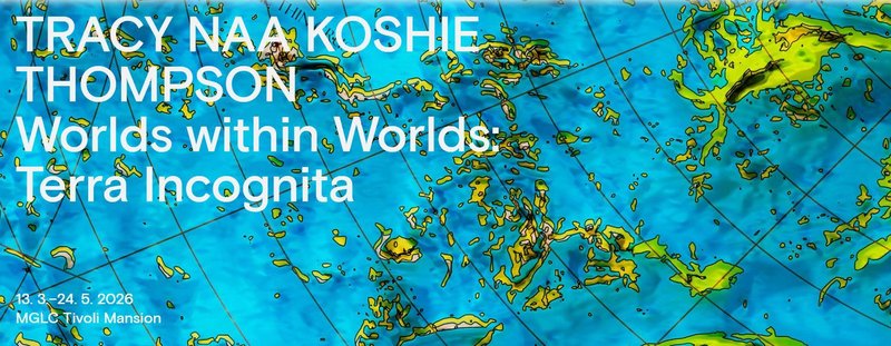 Tracy Thompson razstava MGLC Tivolski grad