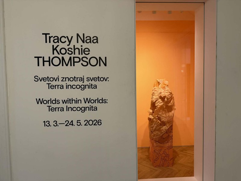Tracy Thompson razstava Tivolski grad