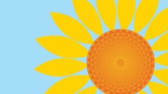 Naslovnica knjige Majhni koraki za lepše dni.