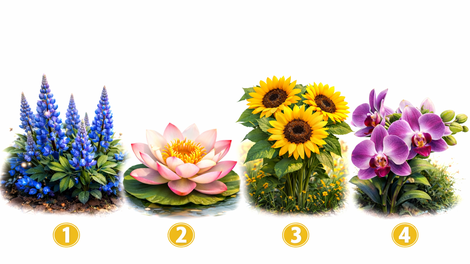 Katero rožo bi izbrali? Test, ki razkrije vašo najboljšo lastnost