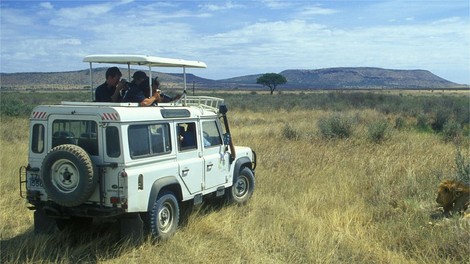 safari