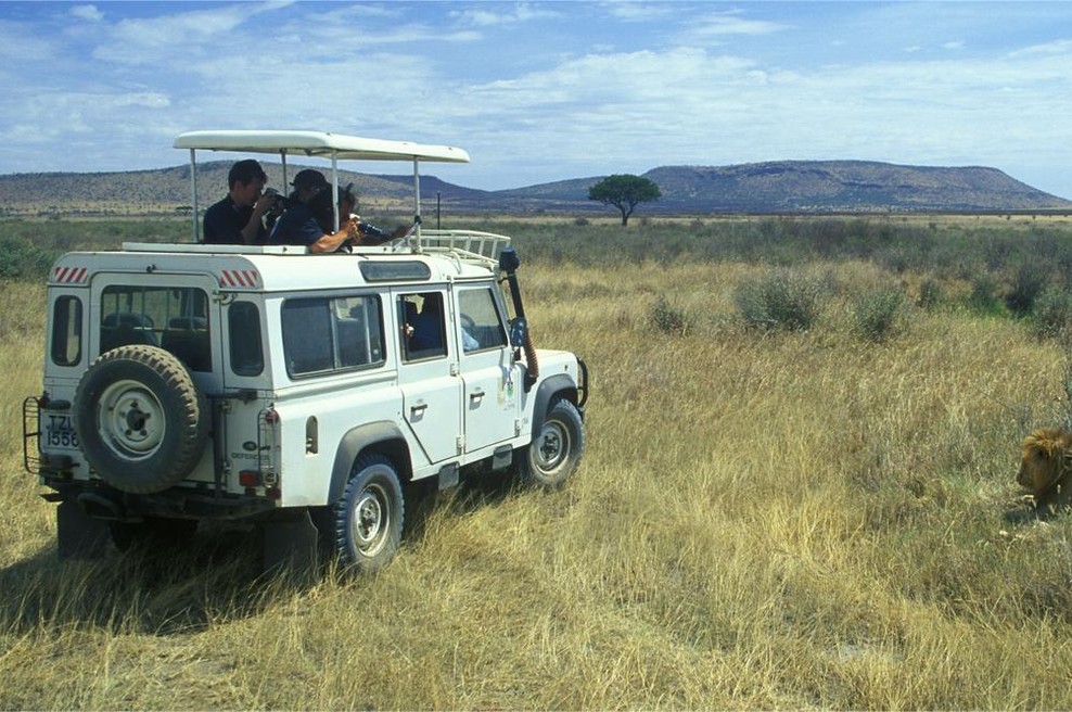 Turisti odšli na safari, nato pa obstali odprtih ust: kaj takega še niso videli (foto: Profimedia)